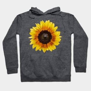 Sunflower 1 (Detailed) Hoodie